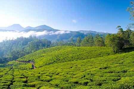 Thekkady tour package