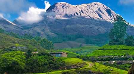 munnar tour package